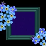 多福多财app:多财多福app 1VDH1O