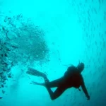 正信娱乐:正信娱乐大主管 SPK48