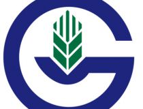 探秘HGA038COM：领先的软件开发和服务提供商
